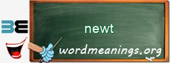 WordMeaning blackboard for newt